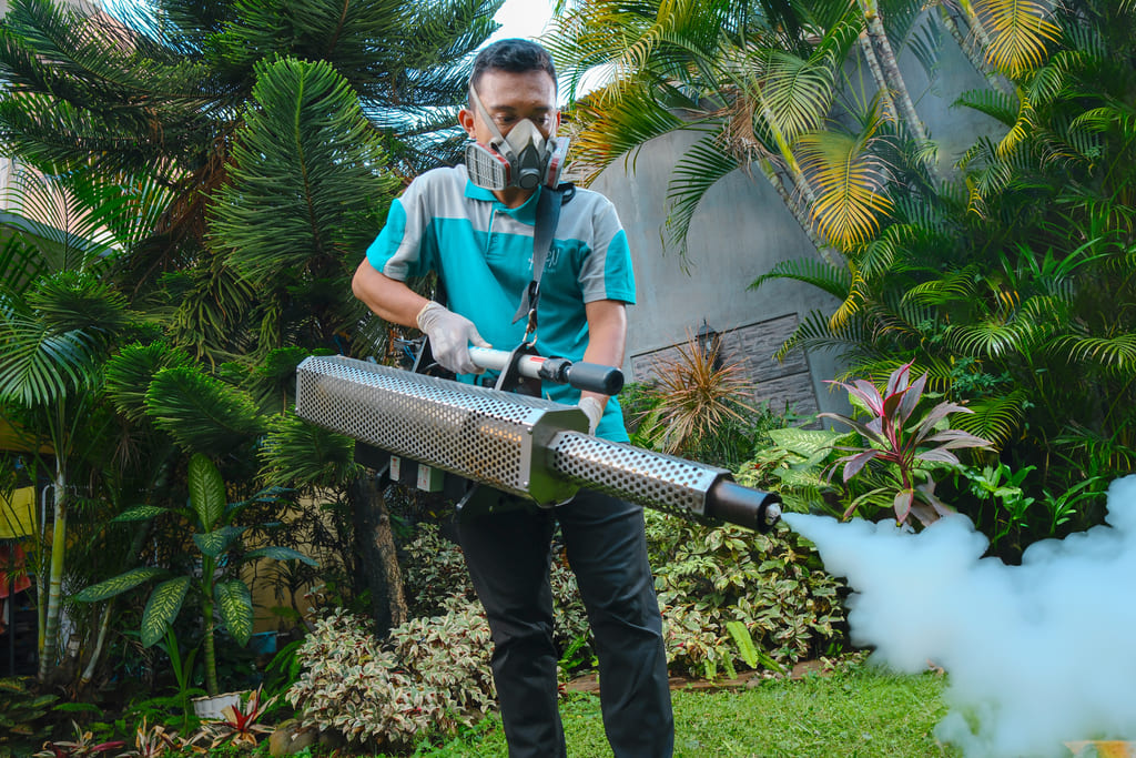 jasa-pest-control